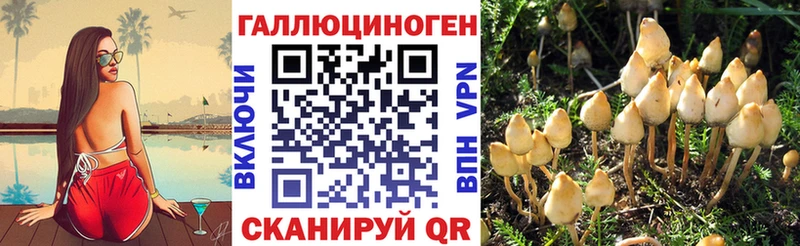 купить   Красный Сулин  гидра   Псилоцибиновые грибы мухоморы 